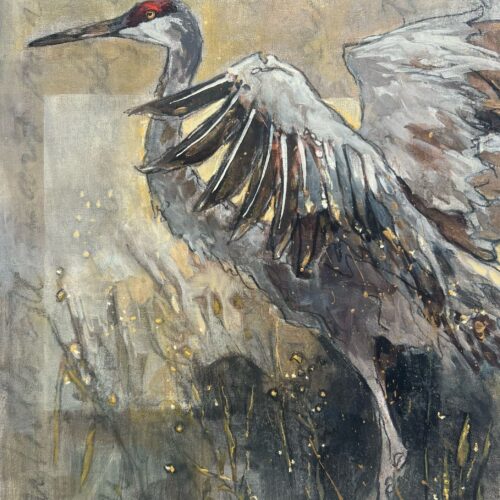 Cranes-At-the-edge-of-the-field
